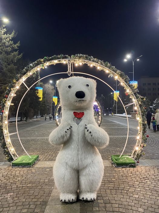 Мишки теди аниматор прокат