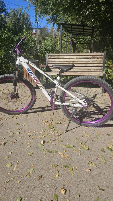 Велосипед IIEREC L 100