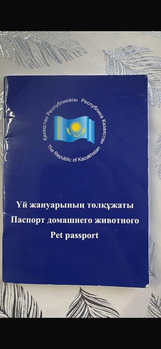 Бельгийская овчарка Малинуа