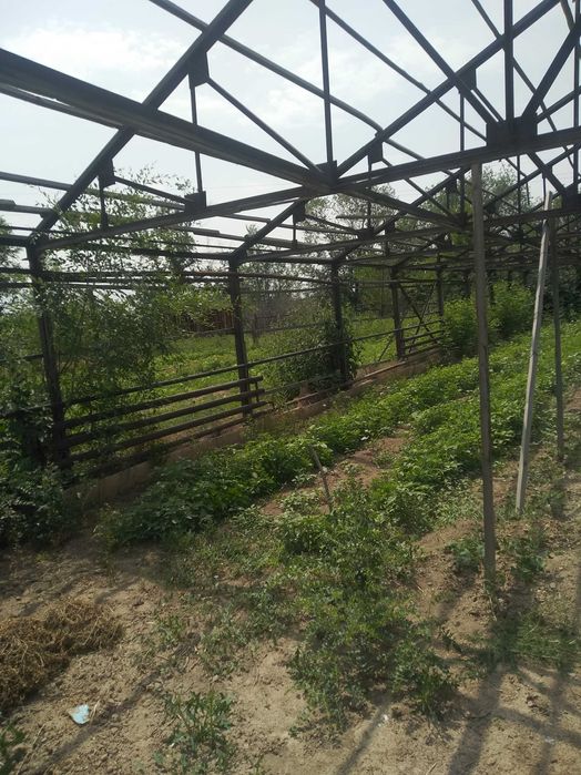 Теплицу металлическую