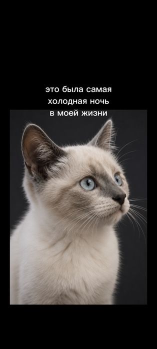 Отдам в хорошие руки