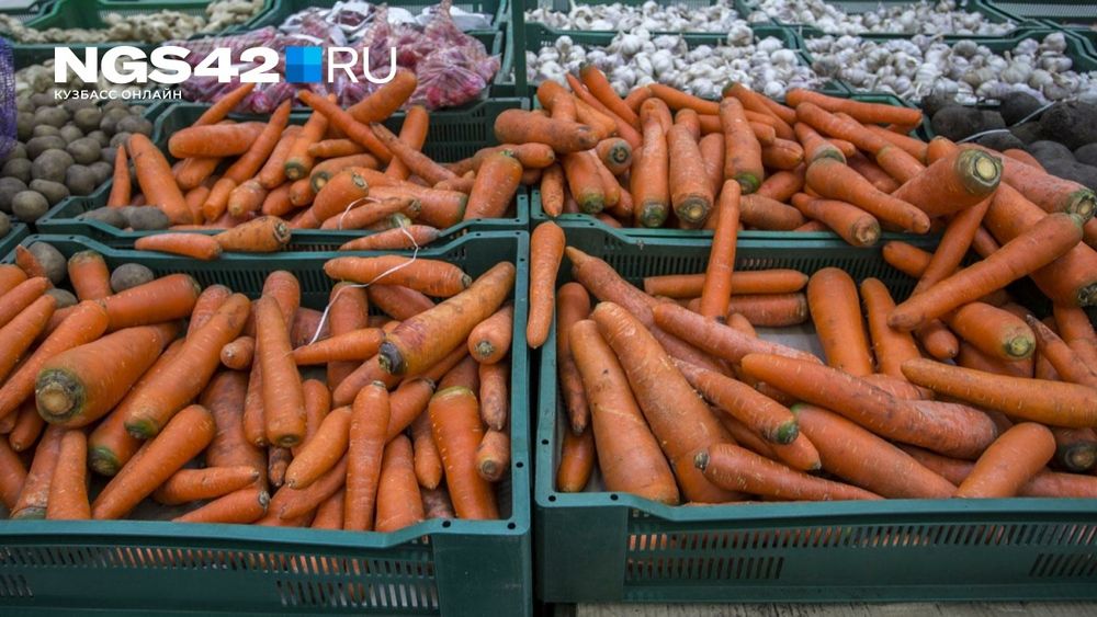 Морковь оптом свежая