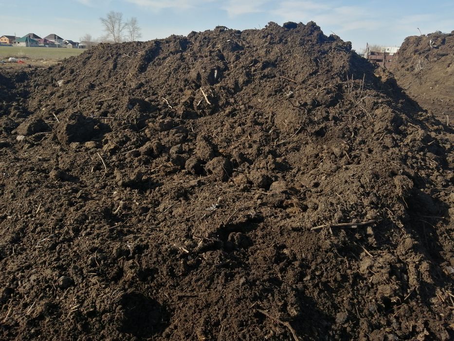 Перегной хороший!