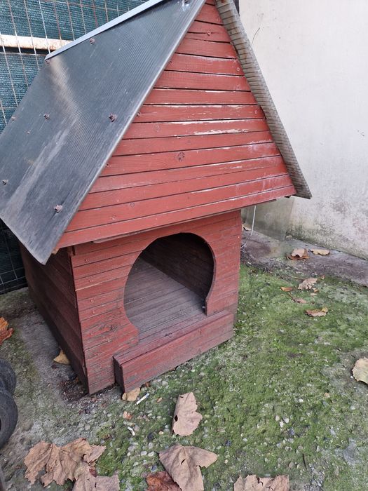 Vand cusca caine/cațel/cațelușă