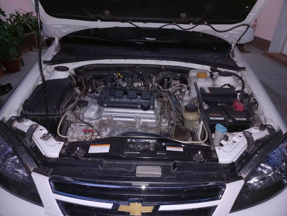 Жентра комфорт срочно