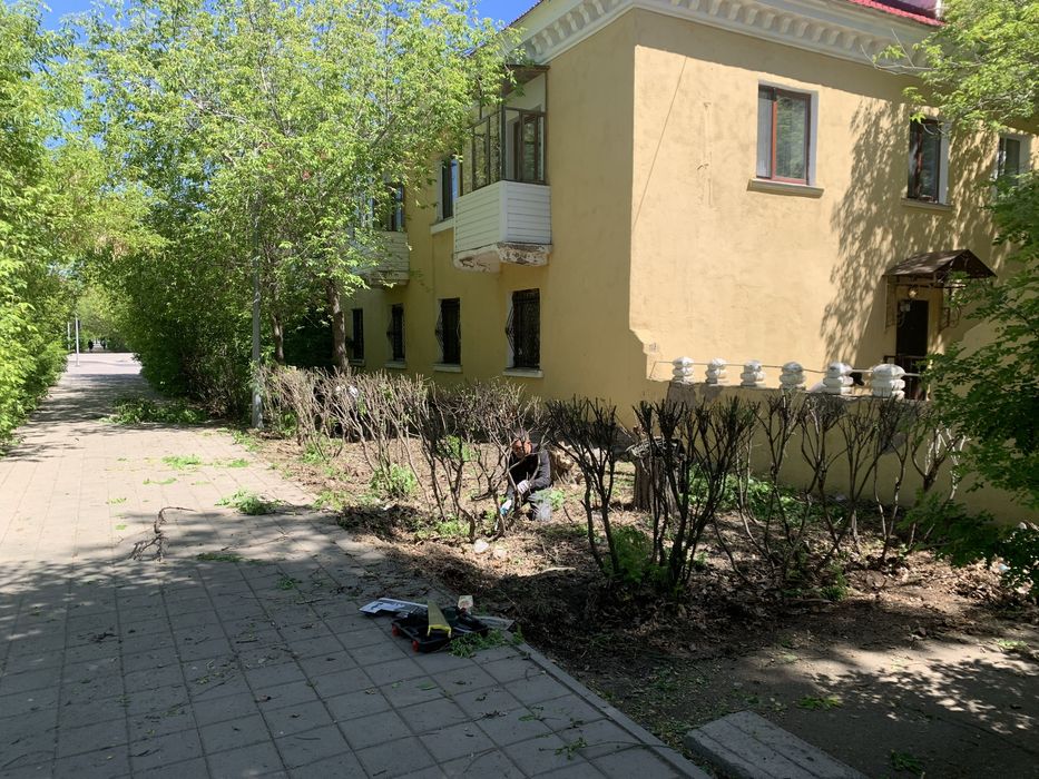 Спил подрезка деревьев