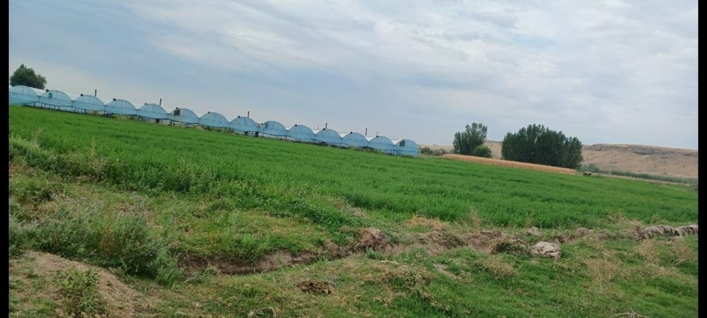 Теплица 32 соток