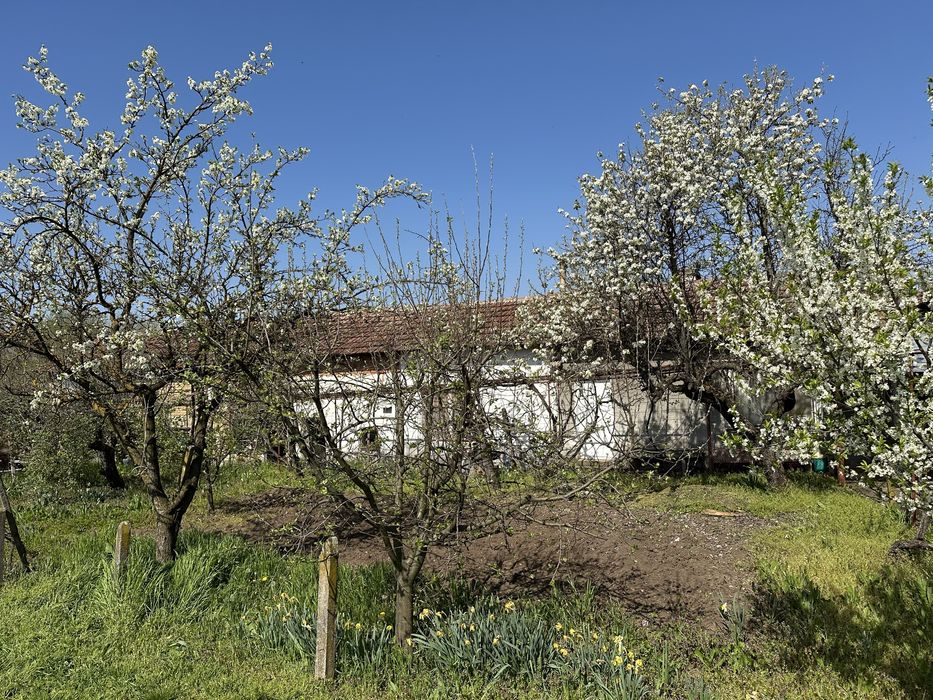 Къща в село Крапчене