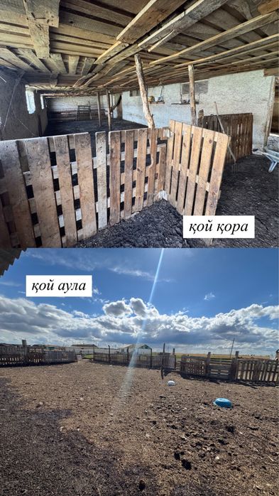 Ауылда Үй малымен сатамын!!