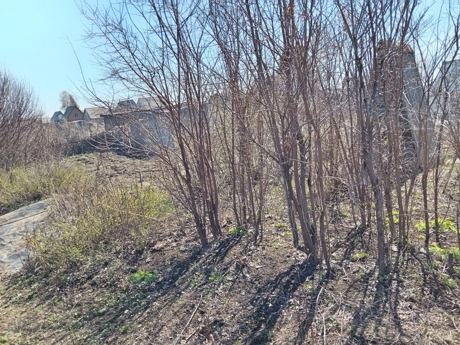 Продам дачу в с/о Кленок 2 недорого