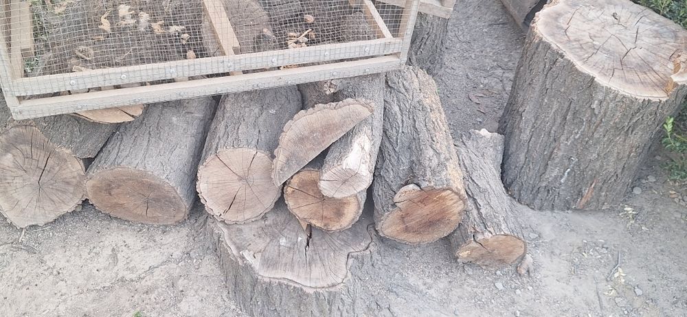 O'tin Дрова Сотилади