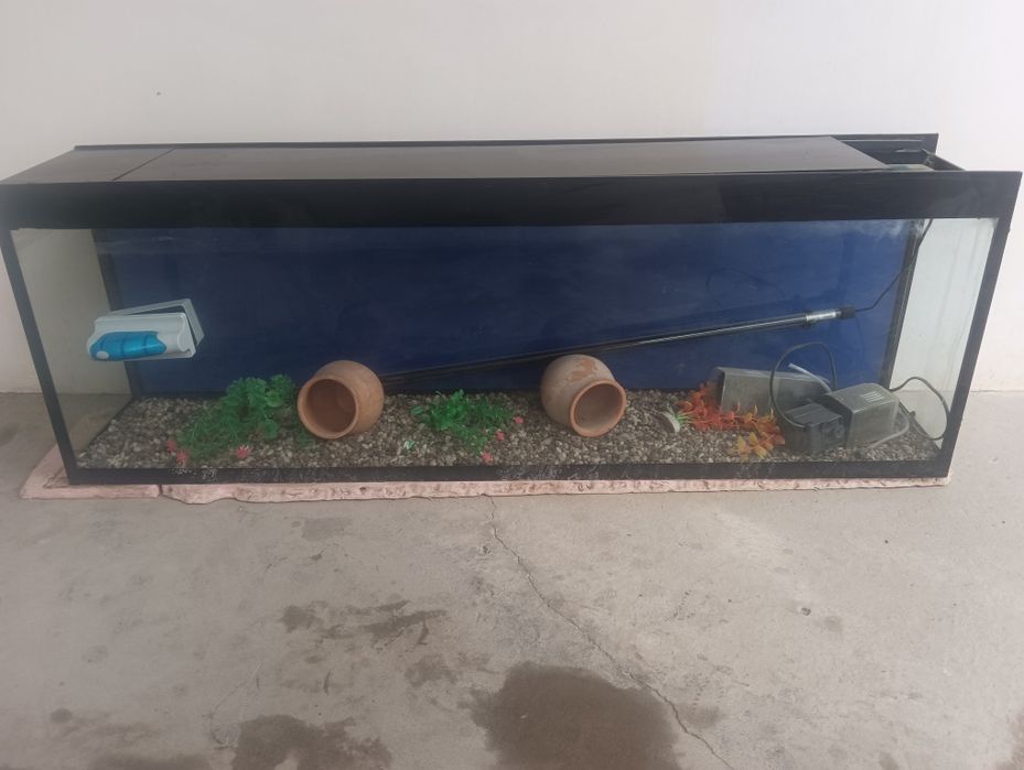 Аквариум для рыбы