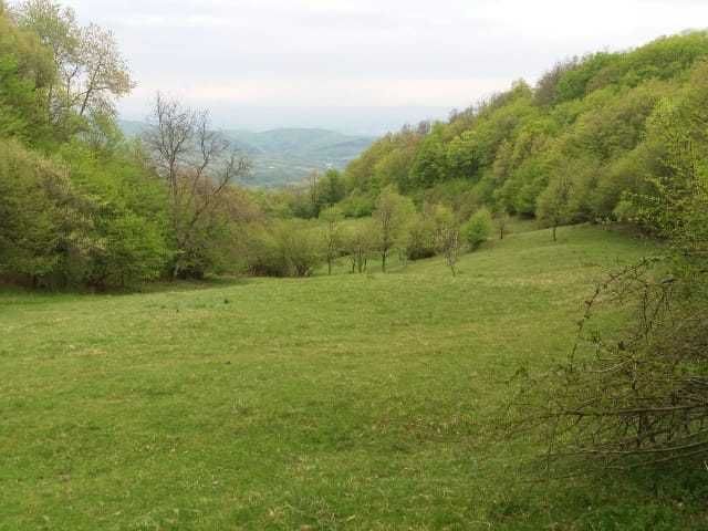 De vanzare aproape 3 Ha intr-o zona Climaterica, de o frumusete aparte