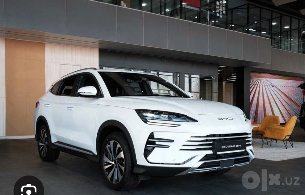 1BYD Чемпион гибрид