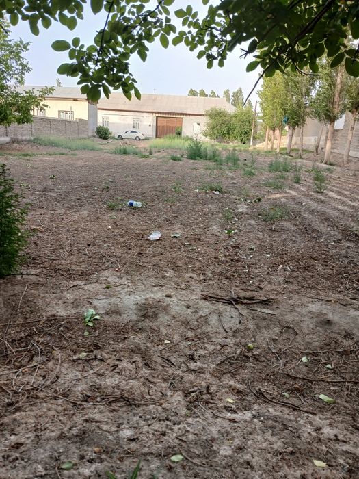 Ер уй жойлик Сотилади 12.5 сотих  Богдод Иттифок МФЙ Янги хайот