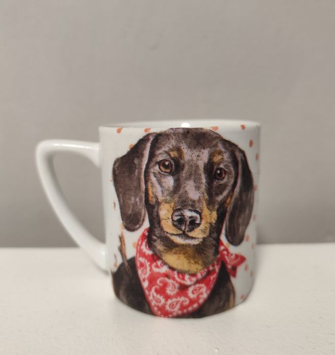 Домашни любимци, котки,кучета,зайчета