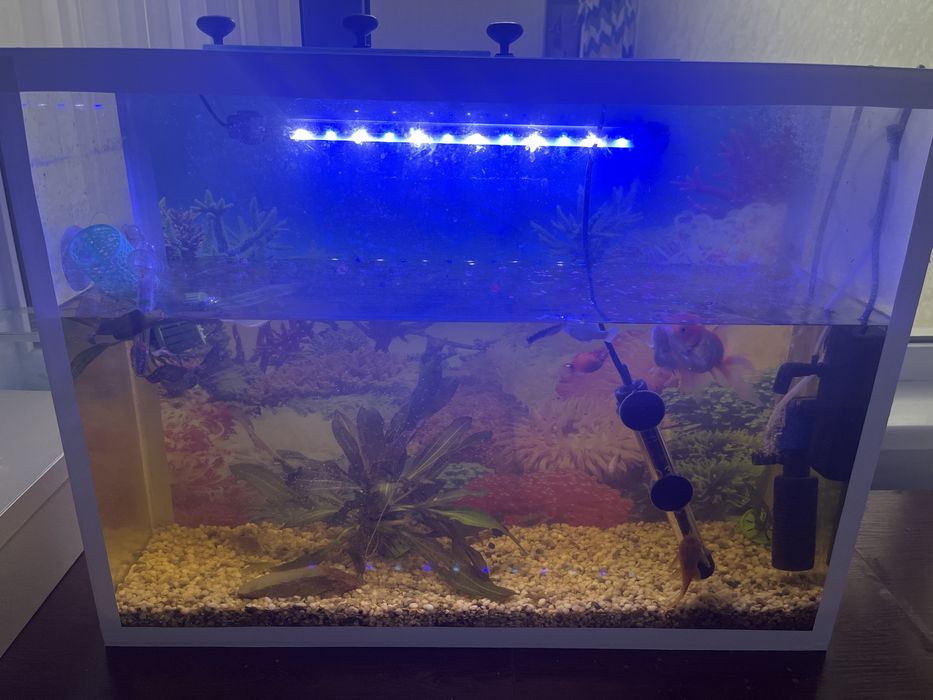 Аквариум 70 литров