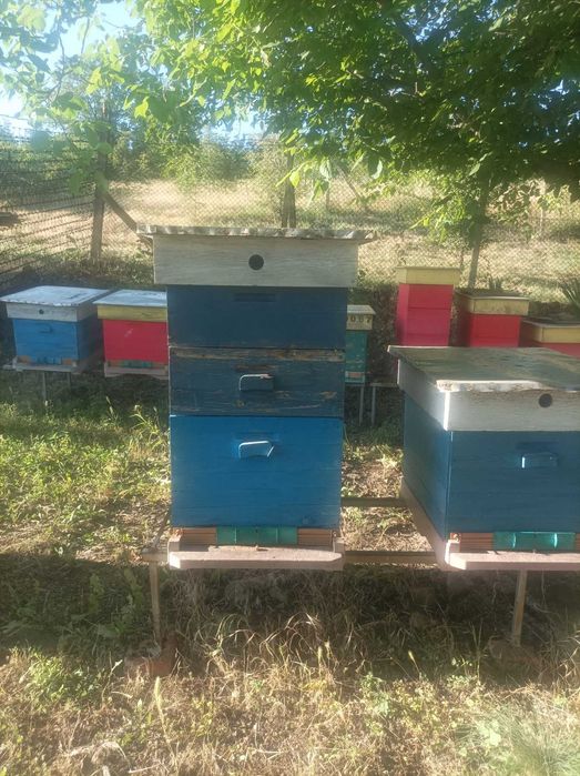 Пчелни кошери комплект