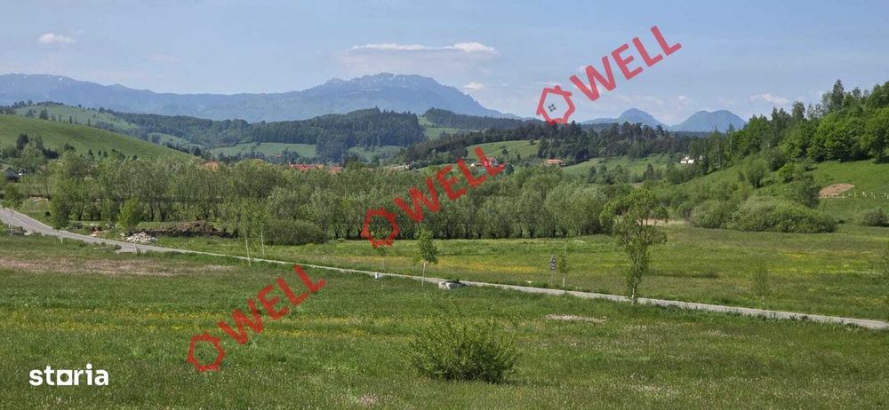 Teren de vânzare în Bărcani, pe strada Bisericii!