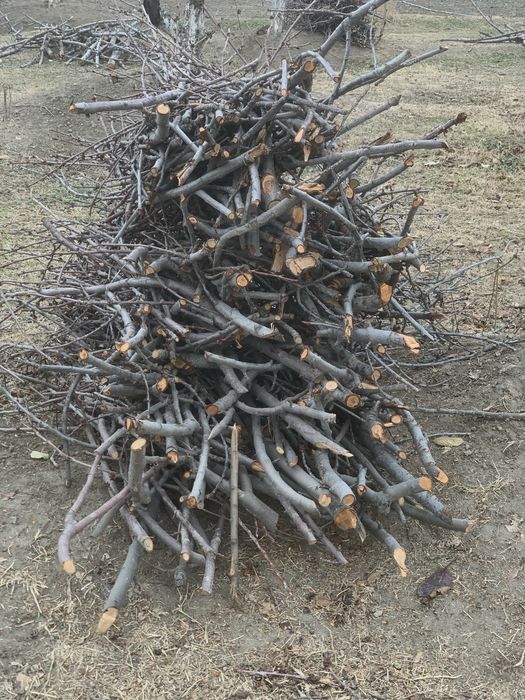 O’tin sotiladi narxini kelishamiz