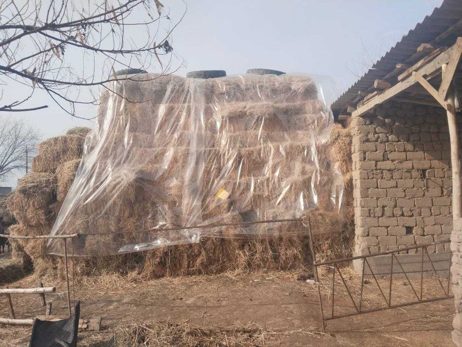 Беда пресс сотилади (тоза)