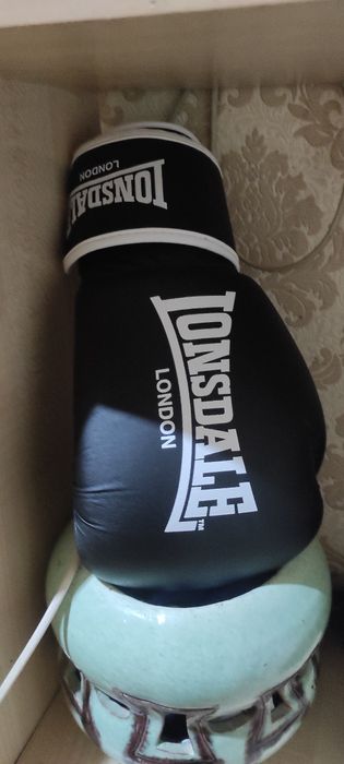 Профессиональные перчатки для бокса 14 унсий