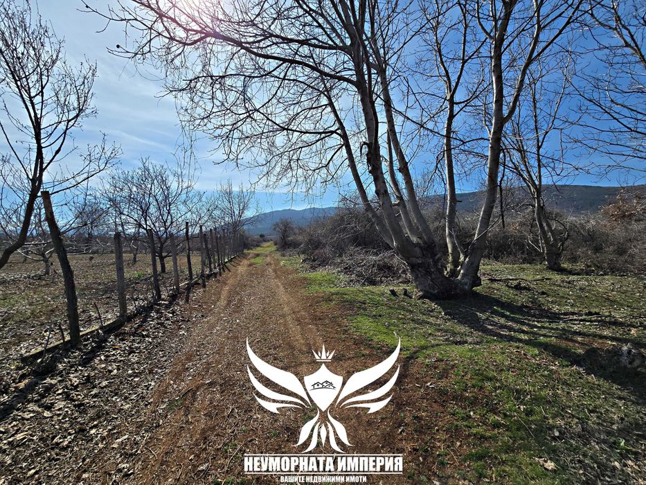 Продавам земя 2800кв.м. в с.Мулдава, общ.Асеновград на два пътя