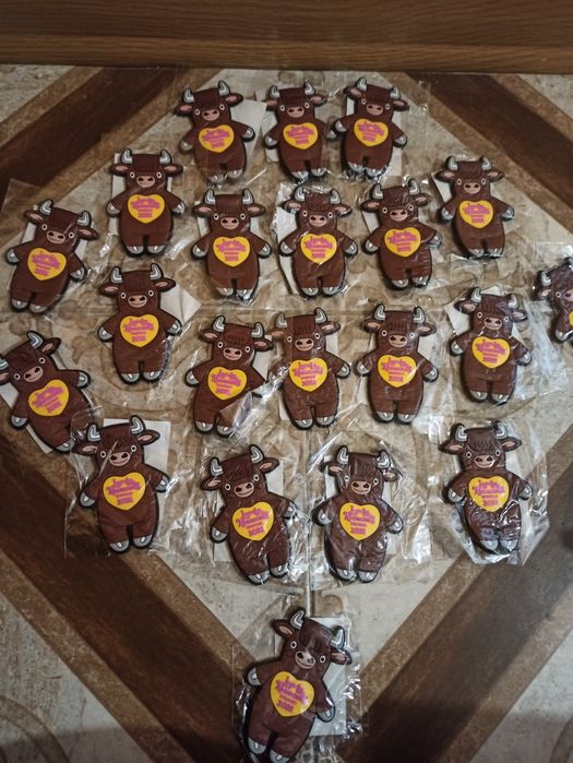 Фаберлик коржын дорба тойбастар