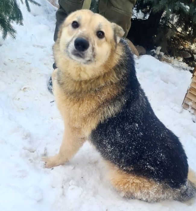 кОмпаНьеНы, сТорожа,ОхраНиики