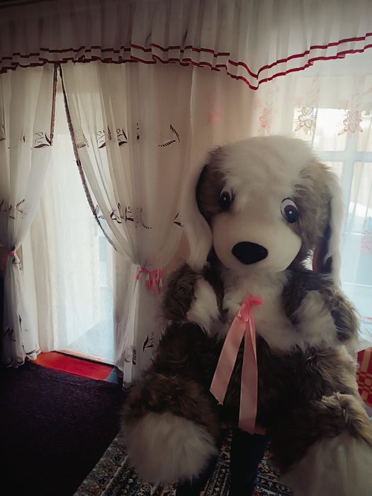 Продаю срочно мягкую игрушку большая сабачку