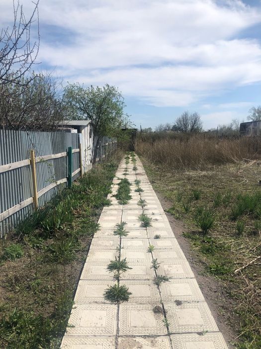 Дача    сатылады  срочно