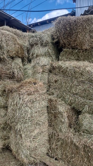 Продам спрессованные тюки сена