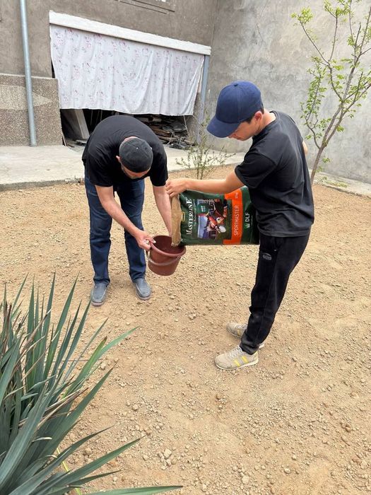 Yevro gazon. Uzz