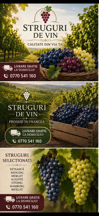 Struguri de vin 2026 la domiciliul gratis 2