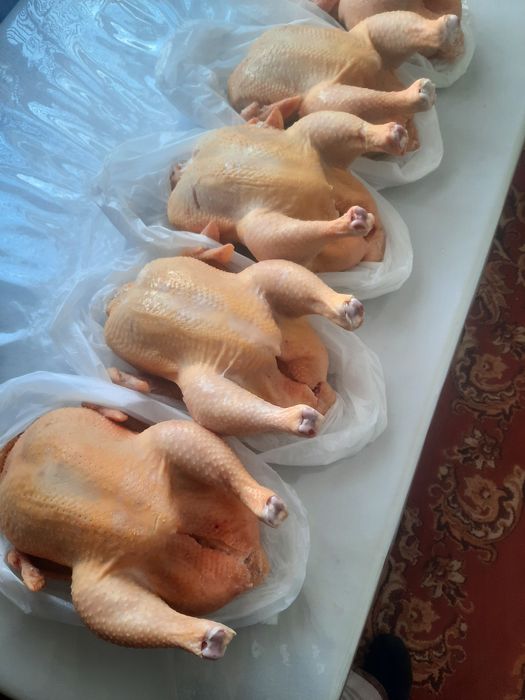 Тушки мясной домашней курицы