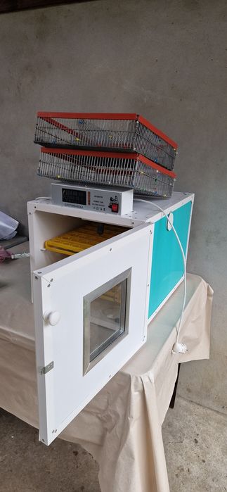 Incubator, clocitoare 110 oua MIP 110