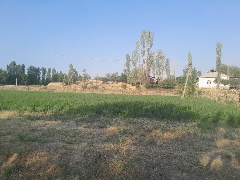 10 sotug er satiladi