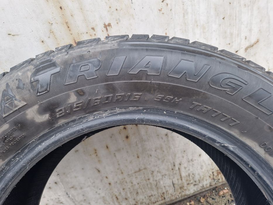 Шины, лапочка TRIANGL