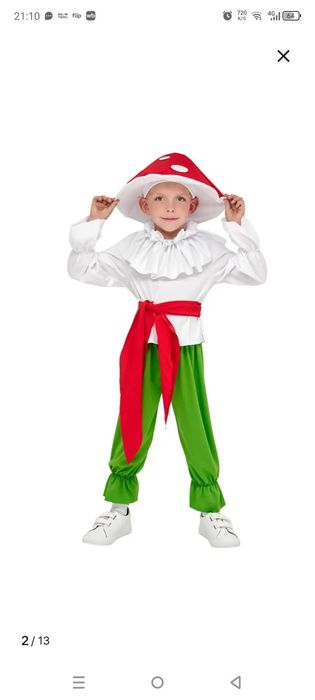 Гриб- мухомор. Новый