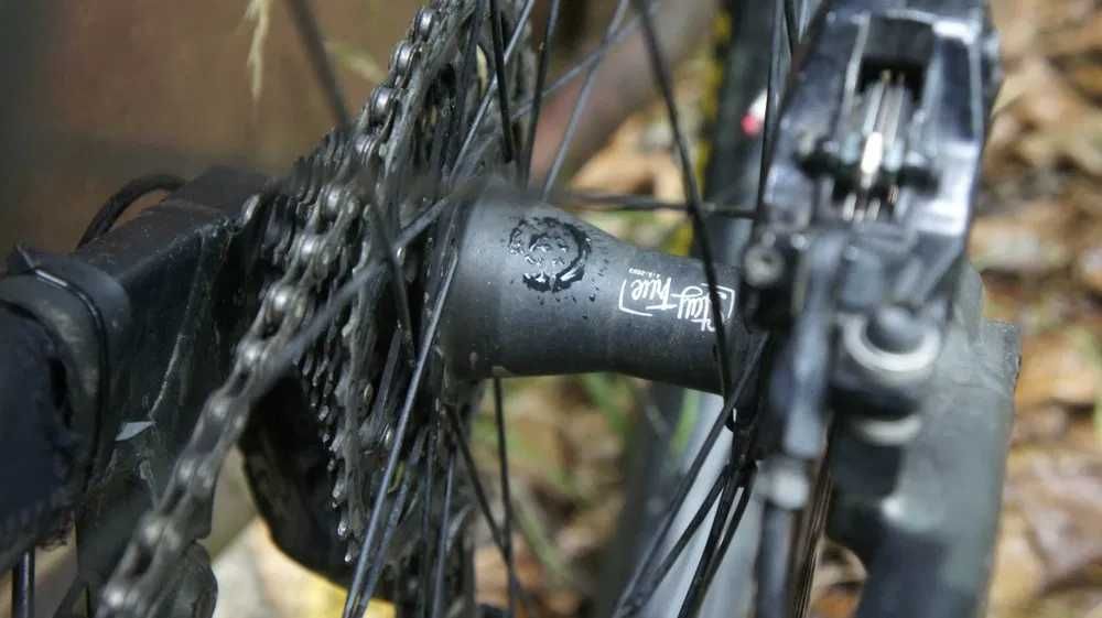 NS FUZZ 2 29 2021(Mondraker, Canyon, Fox, Scott, Specialized, Cube)