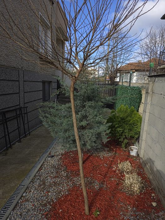 Продава се  3 етажна къща със приземен етаж  108 квадрата на етаж.