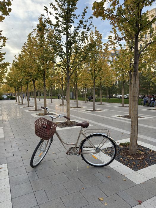 Велосипед с корзинкой