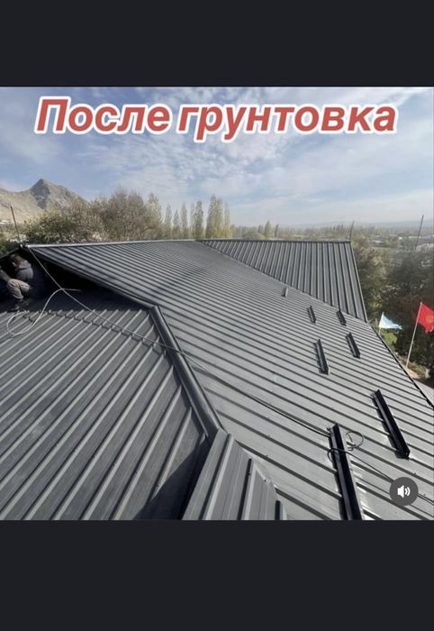 Покраска крыш и т.д