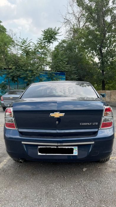 Cobalt 2025 midnight