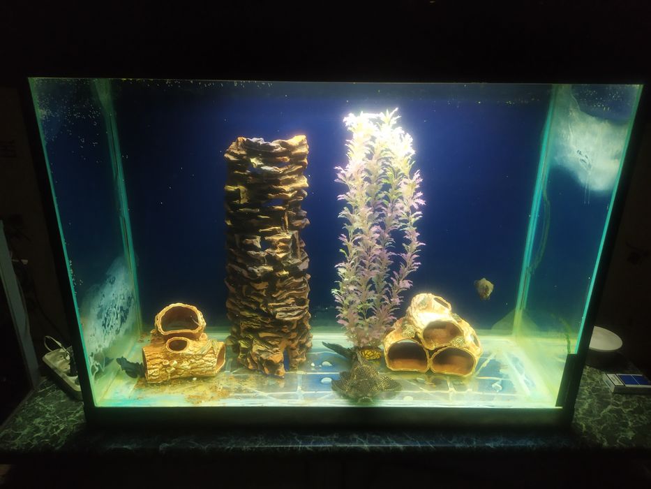 Для высоких аквариумов. Декор керамика.
