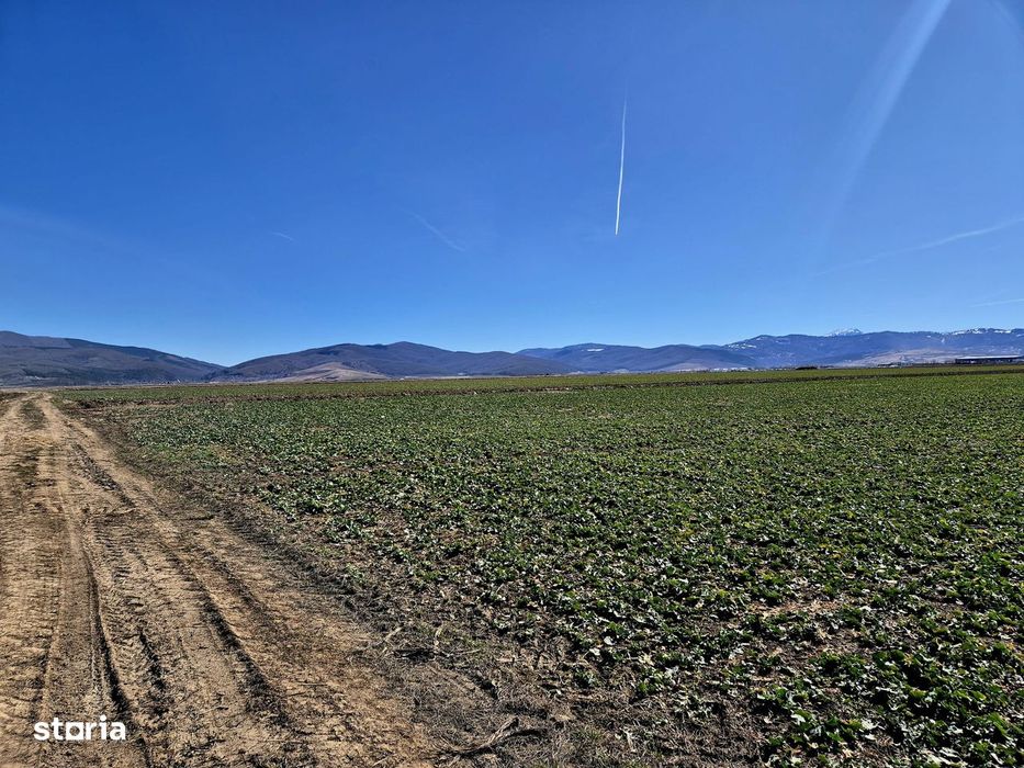 Teren extravilan / Prejmer, Brașov /  Potențial pentru dezvoltare!