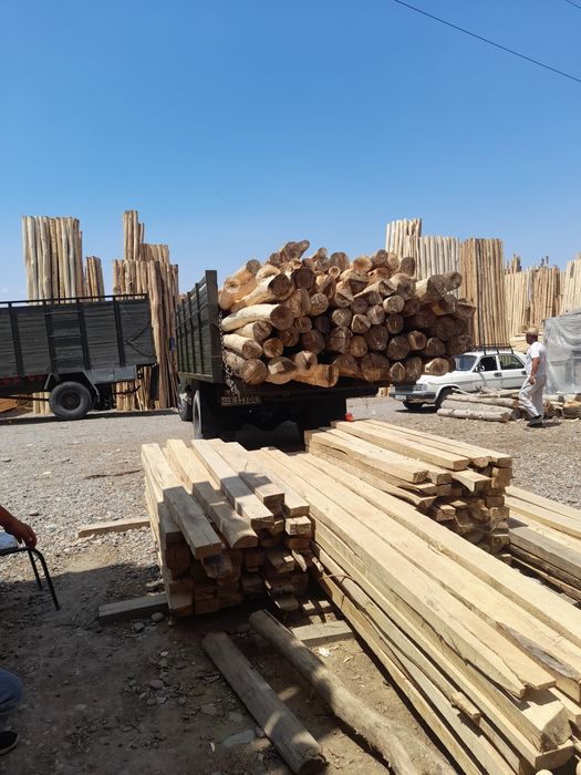 Terak to'sin maxsulotlari optim N_1