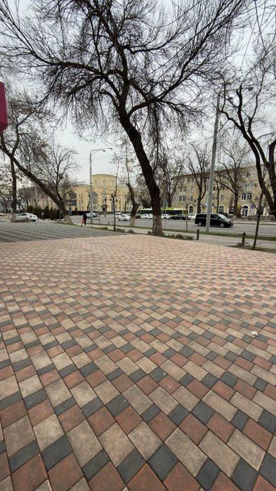 Сдаеться в аренду возле университете Вебстер офис 200 кв БЕЗ КОМИССИИ