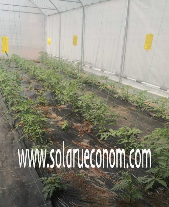 Sera (solar) - 30 mp - 2850 lei