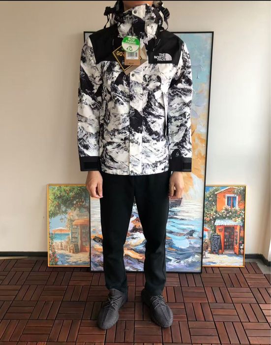 Geaca  schi The North Face